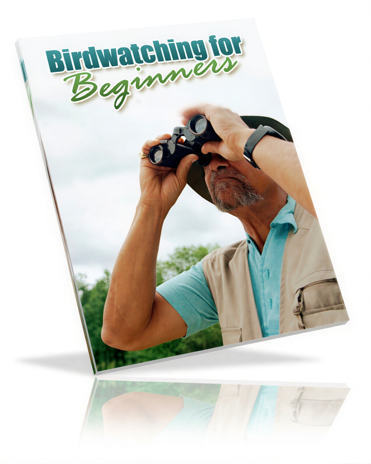 Birdwatching For Beginners